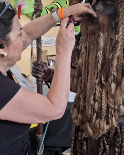 SaveClip.App_495978152_18024275981690629_3154248864605145049_n